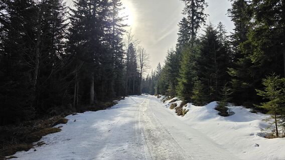 Foto von Stefan entlang der Tour