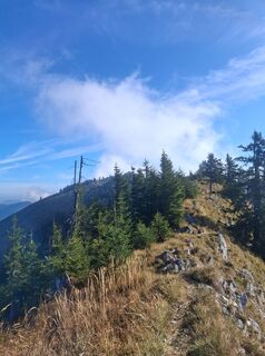 Foto de Ognjen Stavnjak a lo largo del recorrido