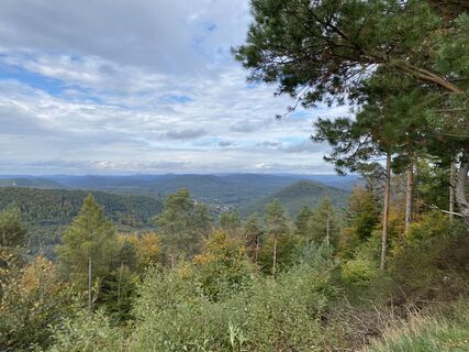 Foto von Bea Helle entlang der Tour