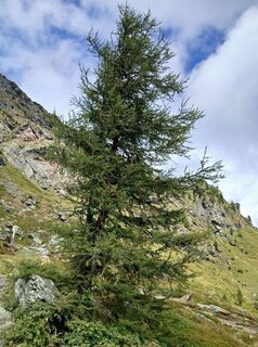 Foto von Helfried Wurzinger entlang der Tour