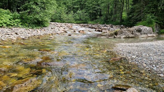 Fotografia z Gerrit van der Linde na trase