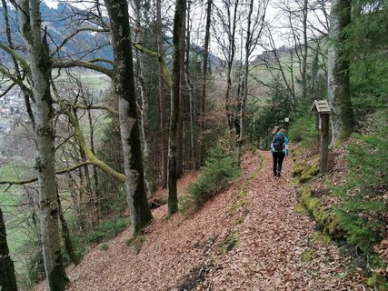Wildschönau Niederau Burgstall Weg.jpg