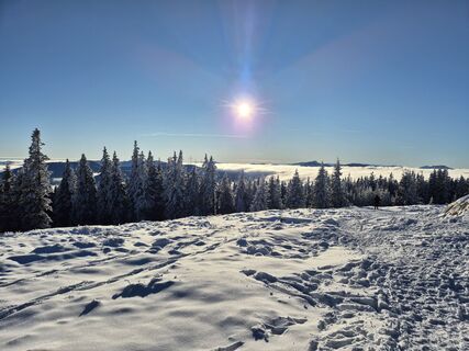 Foto de Patrick Unger a lo largo del recorrido