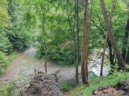 Foto de Tamara Schwarz 2 a lo largo del recorrido