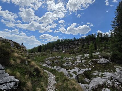 Photo de Andrej Bozic 1 le long du parcours
