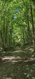 Foto de Huba Csicsics a lo largo del recorrido