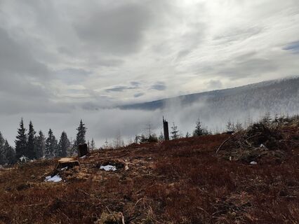 Fotografija s spletne strani Lena Eder na poti