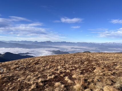 Photo de coochi le long du parcours