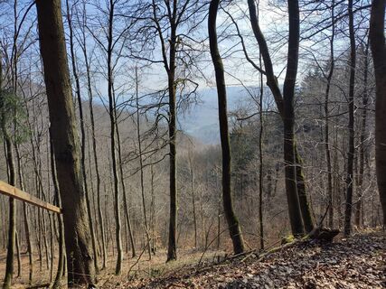 Foto de Stöpsel a lo largo del recorrido