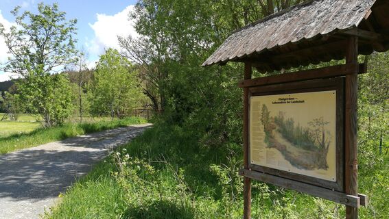Im Tal der Wettera zwischen Raila und Schauerschacht