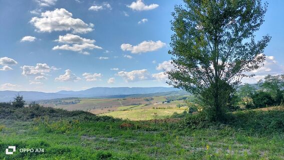 Foto de Zendry a lo largo del recorrido