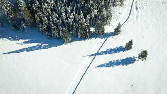 Drohnenaufnahme Langlauf