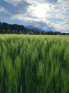 Fotografia z Dagmar Hofer na trase