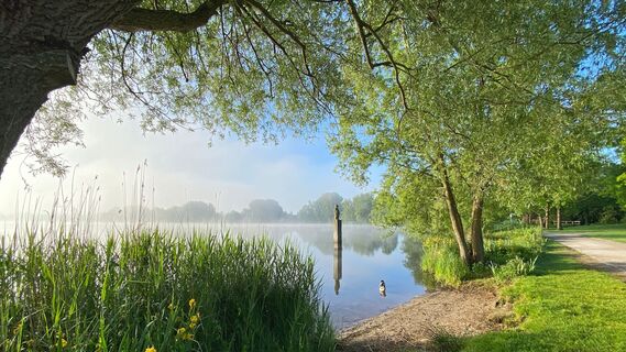 Der Vörder See mit Seemann im Morgennebel
