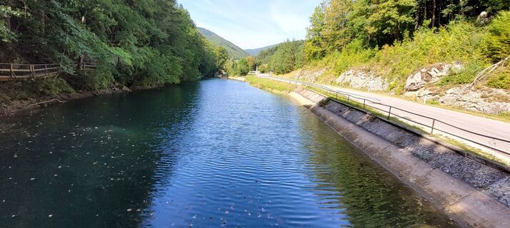 Photo de Nicky le long du parcours