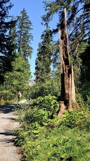 Foto von Elisabeth Vonarburg entlang der Tour