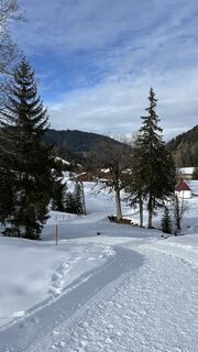 Photo de Wolfgang le long du parcours