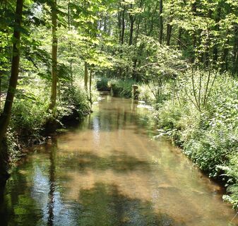 Nordic Walking Strecke entlang des Spiegelbachs in der Nähe der Knittelsheimer Mühle