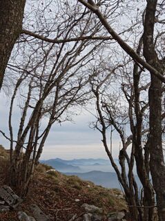 Zdjęcie z Aner wzdłuż trasy