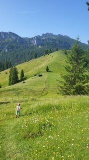 Fotografia z Josef Kößlinger na trase