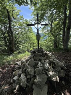 Fotografija s spletne strani Wilson Holz na poti