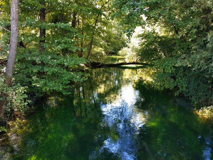 Foto fra Roman undervejs på turen