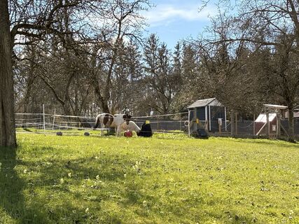 Foto von Nina Astleitner entlang der Tour