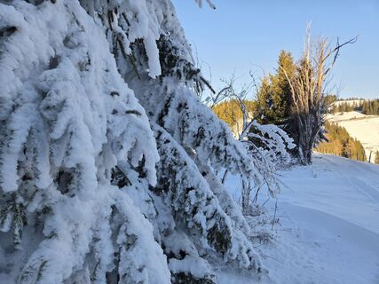 Foto von Zahrni78 entlang der Tour