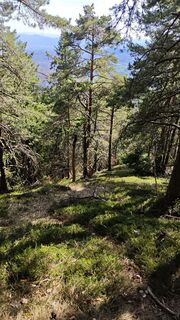 Foto de Franca Škarja a lo largo del recorrido