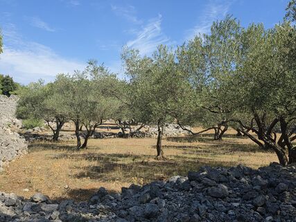 Foto von Fischme entlang der Tour