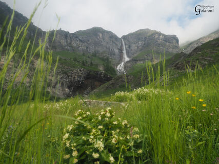 A115 Massello-Lago di Laux