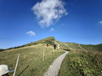 Photo de Armin Herzog le long du parcours