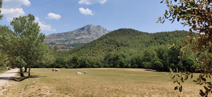 Fotografija s spletne strani Hein Sleddens na poti