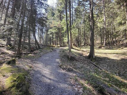 Fotografija s spletne strani Darius Amarapura na poti