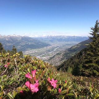 Aussicht auf das Rheintal