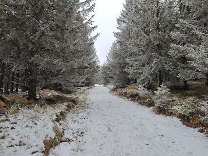Fotografija s spletne strani Lena Eder na poti