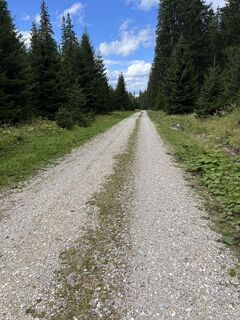 Foto von Ernest Dejanovic entlang der Tour