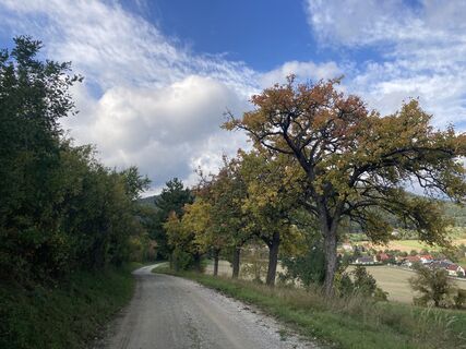 Photo de Reinhard S le long du parcours