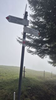 Photo de Nicole Hesse le long du parcours
