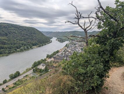 Fotografija s spletne strani Arne Schlieder na poti