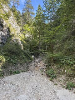 Foto von johann fahringer entlang der Tour