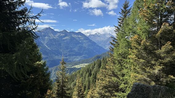 Foto von peter_oe entlang der Tour
