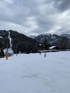 Foto von Estepenrose entlang der Tour