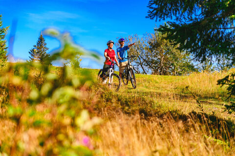 Mountainbike Tour auf dem Brend in Furtwangen