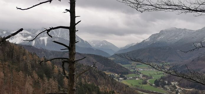 Photo de Klaus Lehner le long du parcours