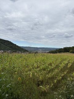 Fotografia z Georg Loichtl na trase