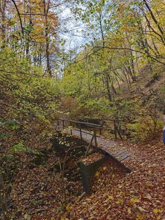 Foto från Katona Ferk Mariann under resans gång