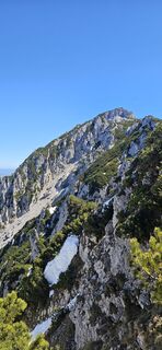 Foto de micsunel ciocirtau a lo largo del recorrido