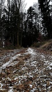Fotografija s spletne strani Balázs Zeley na poti