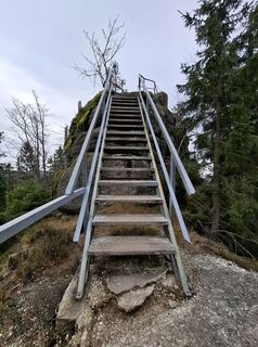 Foto de Wollomator a lo largo del recorrido
